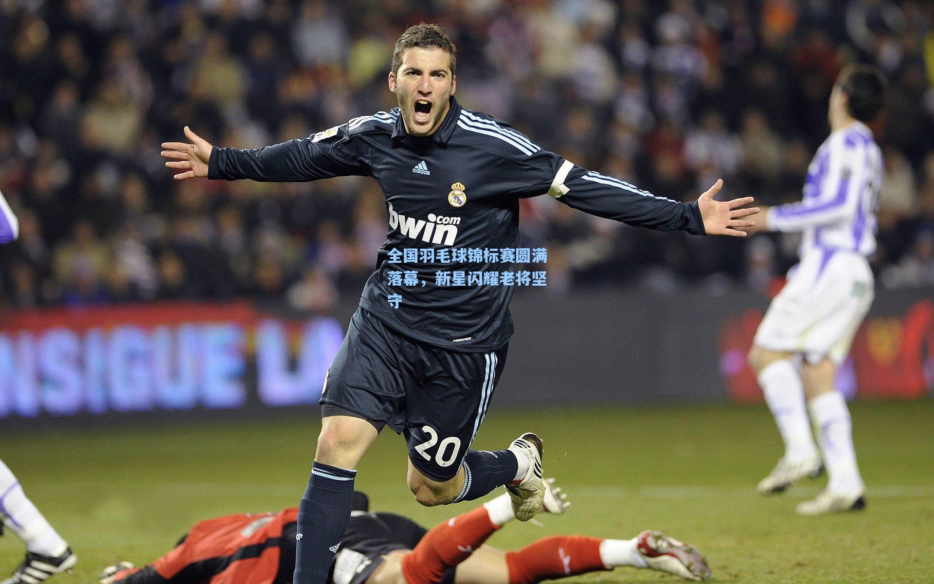 全国羽毛球锦标赛圆满落幕,新星闪耀老将坚守