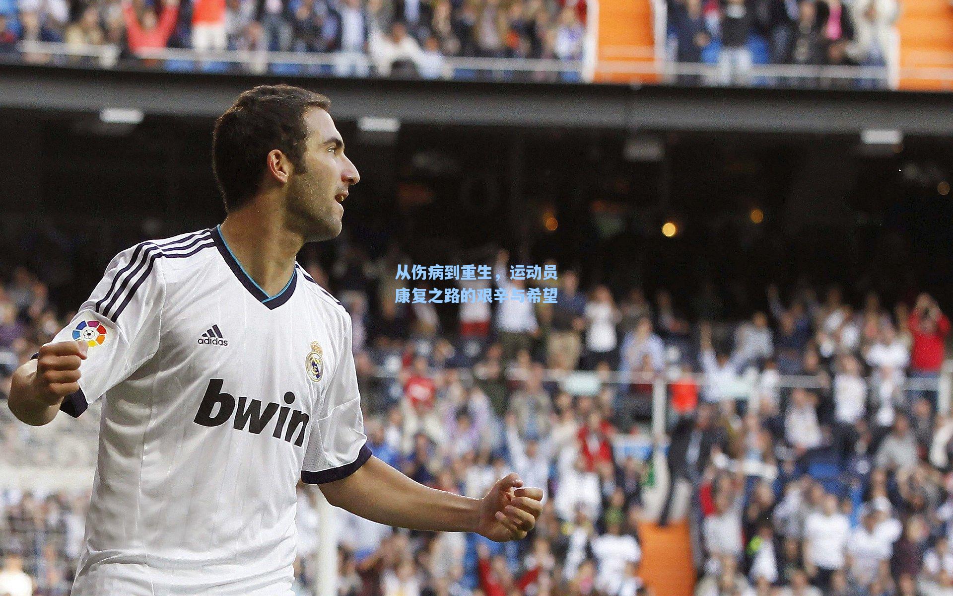 从伤病到重生,运动员康复之路的艰辛与希望