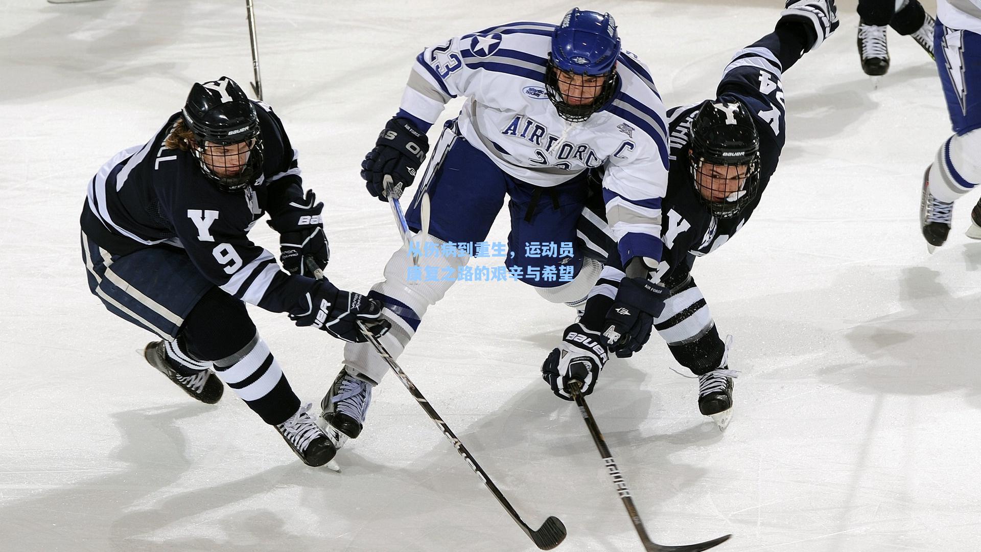 从伤病到重生,运动员康复之路的艰辛与希望