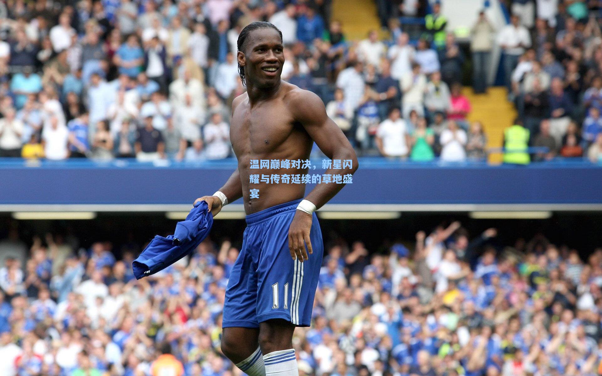 温网巅峰对决,新星闪耀与传奇延续的草地盛宴